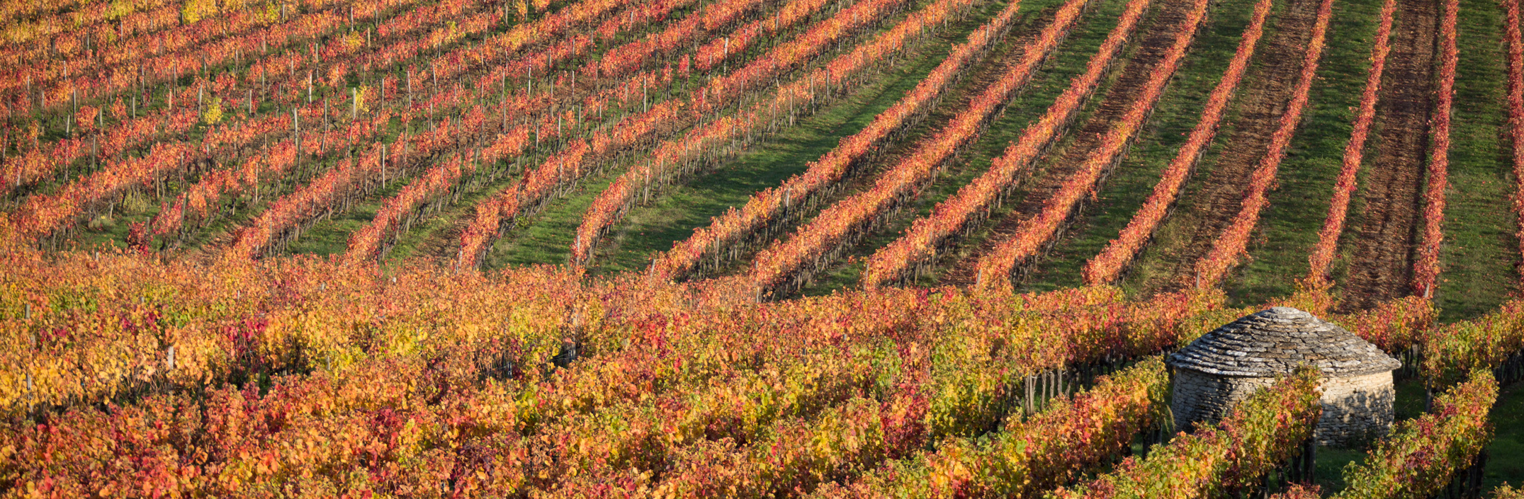 Gite à arcenant Bourgogne regis bouveret  Armelle photographe